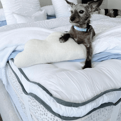 LushSleep™ Premium Mattress Booster